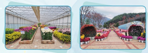 제2공간 - 성역으로의 초대