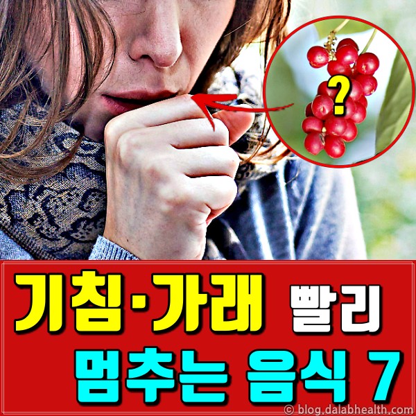 기침 빨리 낫는법,기침 멈추는데 좋은 음식,건강
