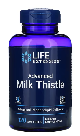 밀크씨슬-효능-간-건강-개선