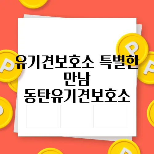 유기견보호소 특별한 만남 동탄유기견보호소