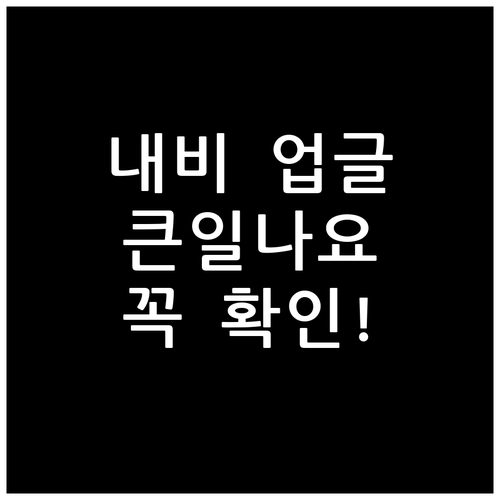렌터카 내비게이션, 무턱대고 업그레이..