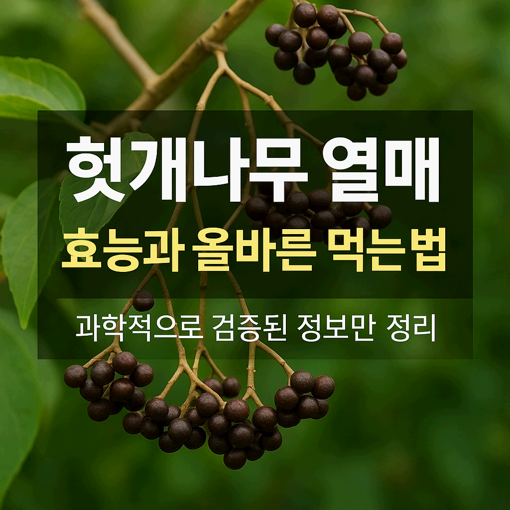 헛개나무열매