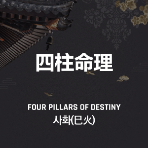 사화(巳火) 특징, 의미, 성격, 직업 총정리