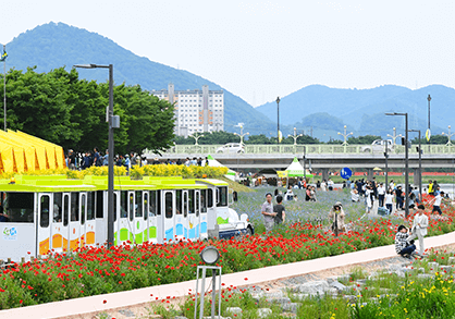 장성 황룡강 길동무 꽃길 축제 주차장 연예인