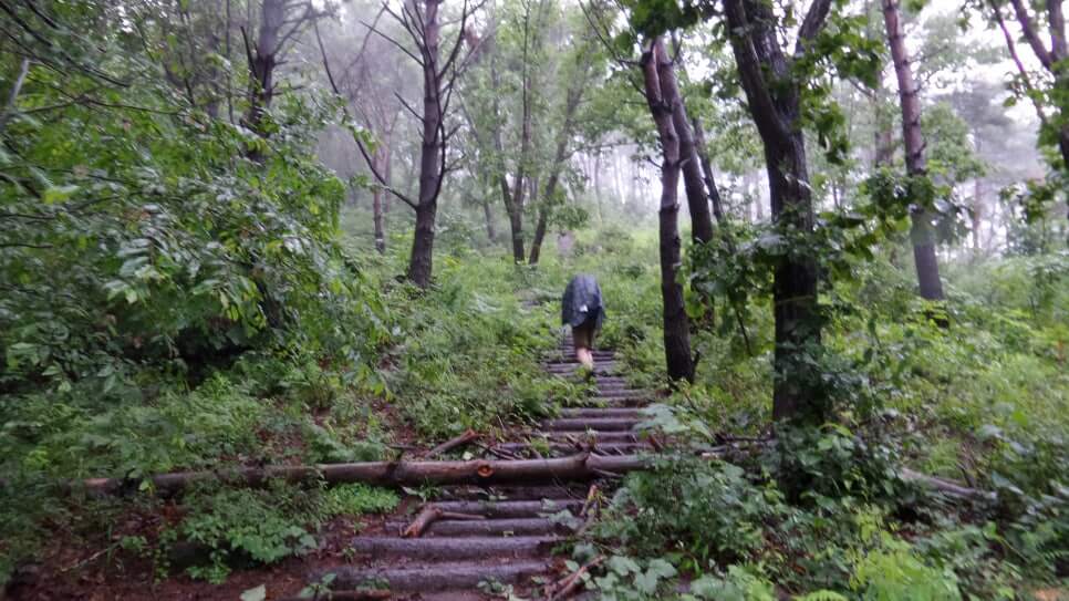 100대 명산 등산하기 쉰한번째 합천 황매산 사계절에 빛나는 억새&middot;철쭉 명산