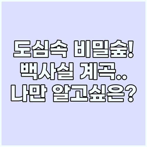 서울 부암동 백사실 계곡 도심 속 비..