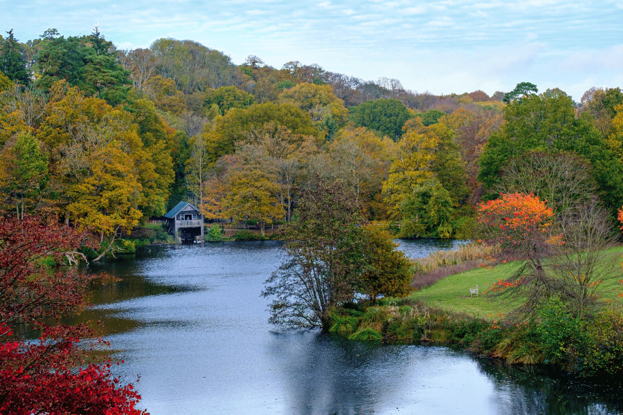 한국의 사계절 수목원과 식물원