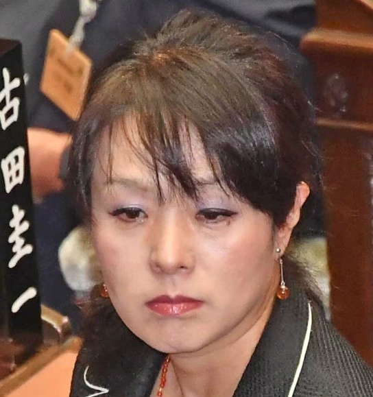 일본 자민당 국회의원 스기타 미오 | 한복 조롱 위안부 비하 영상