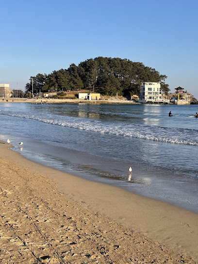 🌊 [2025 서핑] 가능 해변 추천 BEST 10 