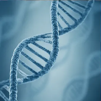 글루타치온 효능25