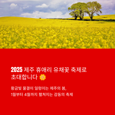 2025 제주 휴애리 유채꽃 축제 정보