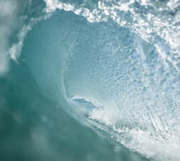 국민건강보험료 이중납부 확인 및 처리 방법