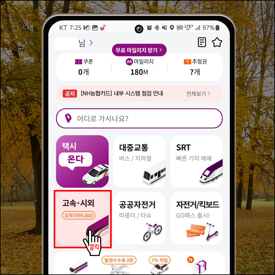 티머니고 광명종합터미널 시간표 예매방법