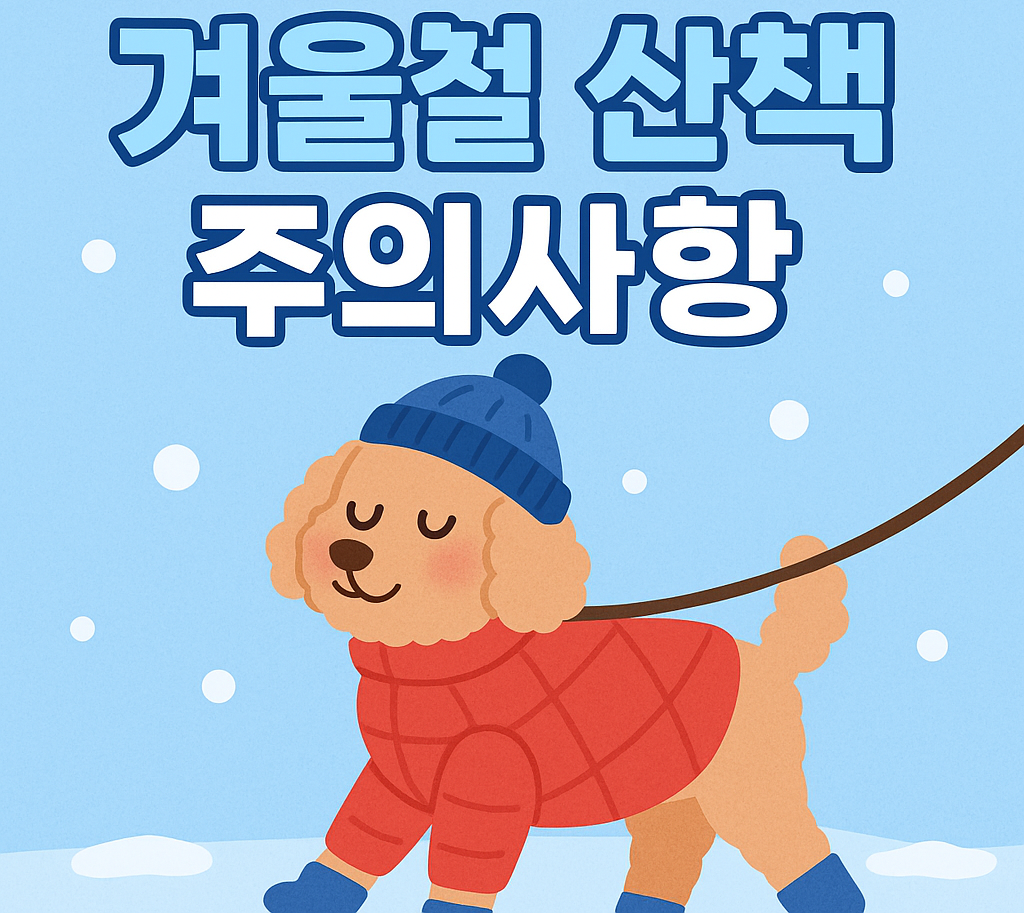 강아지 겨울산책, 강아지 영하날씨 산책, 겨울 강아지 산책 후, 강아지 영하 산책 주의사항