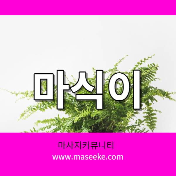 마식이