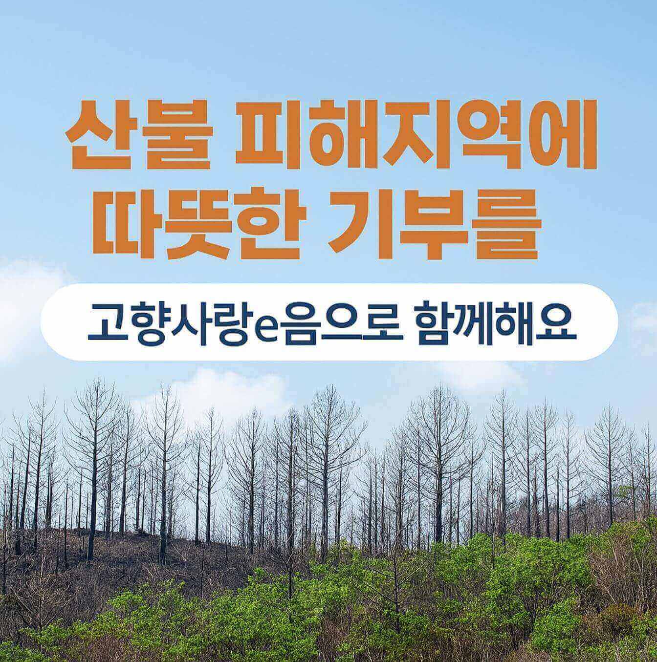 고향사랑e음 기부방법