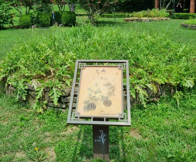 신사임당그림-수박