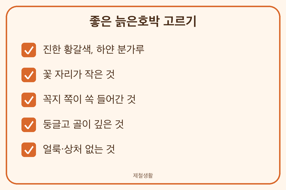 늙은호박 고르는 법 황갈색 분가루 꼭지 함몰 골이 깊은 것