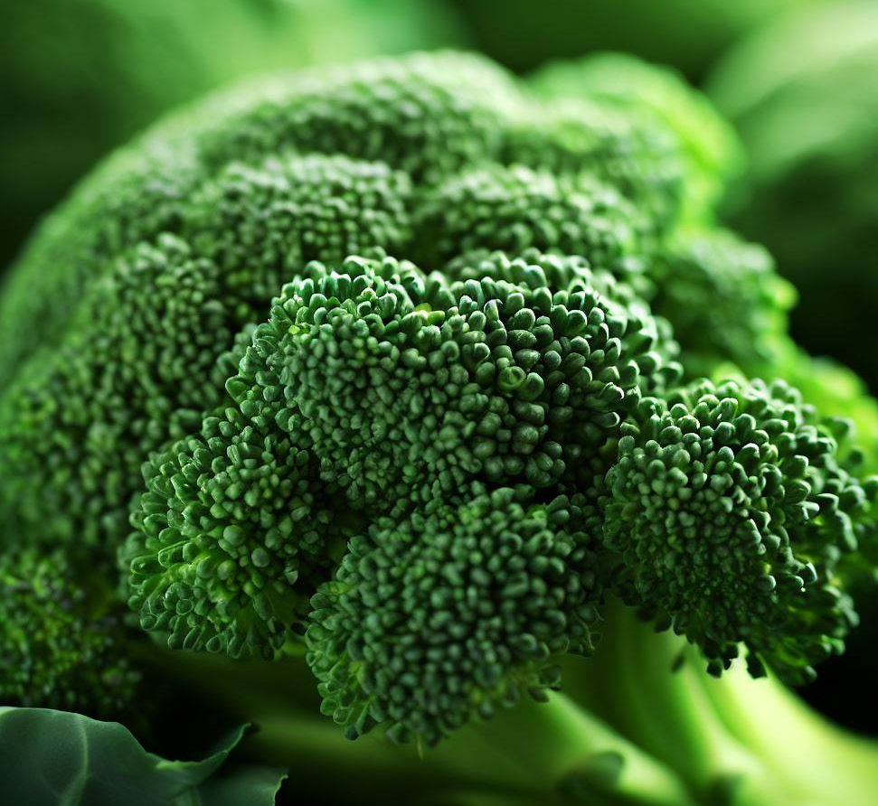 비타민 K1 함유,브로콜리