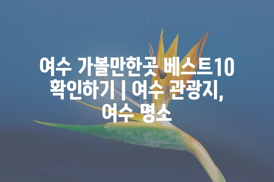 샘플 (45)