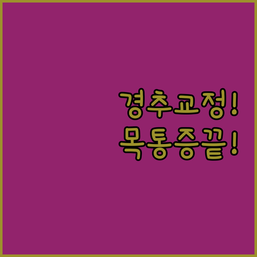 넥스트레쳐와 목 지지대 비교 추천 및..