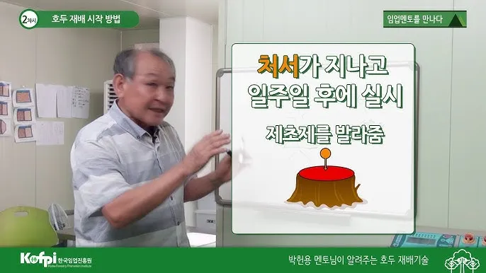 호두 재배 순 지르기 수분 수정 고온 피해 예방_9