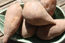 야콘 효능, 부작용, 먹는 법 알아보기