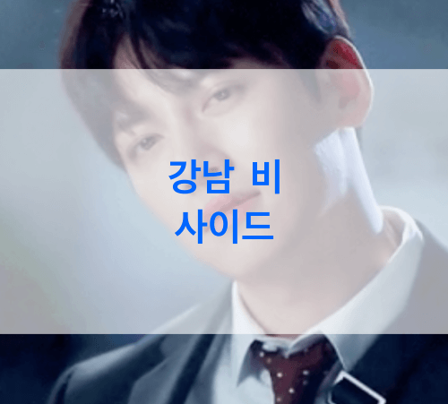 강남-비-사이드