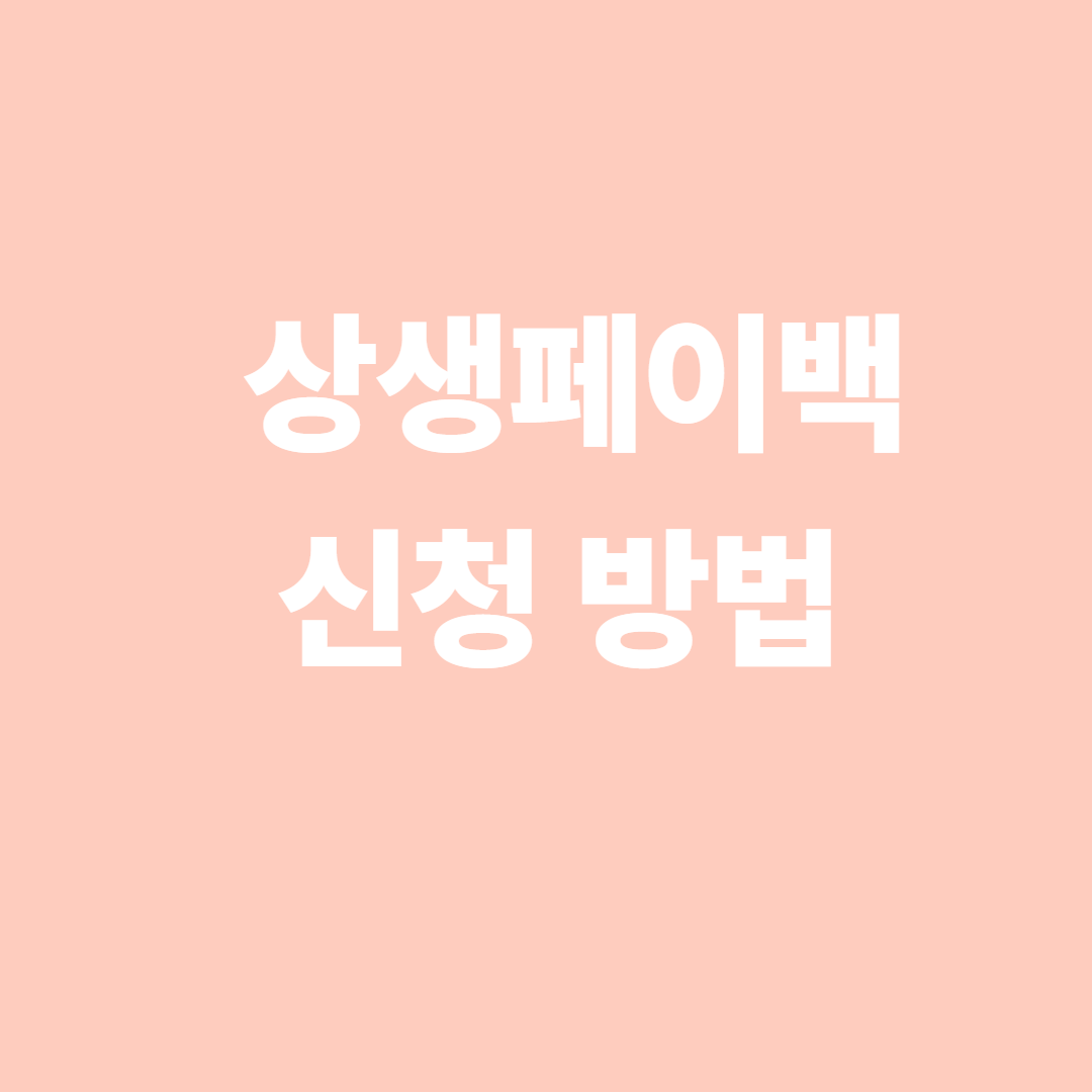 상생페이백