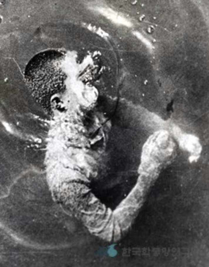 마산 앞바다에서 발견된 김주열 시신