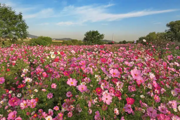 고향사랑기부제 기부방법 기부한도