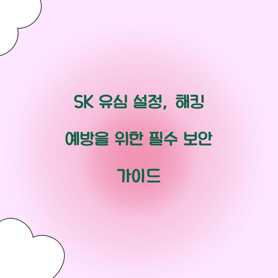 SK 유심 설정