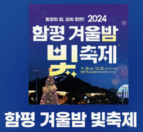 함평 겨울밤 빛 축제