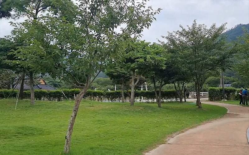 전라남도 진도 운림삼별초파크골프장 소개