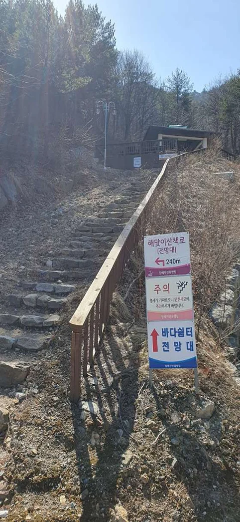 강릉임해자연휴양림