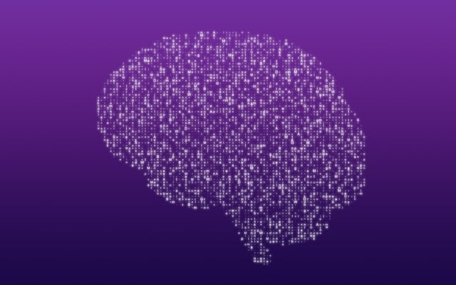 뇌의 리모델링: 신경 세포 재구성 및 신경망 형성의 분자적 기전