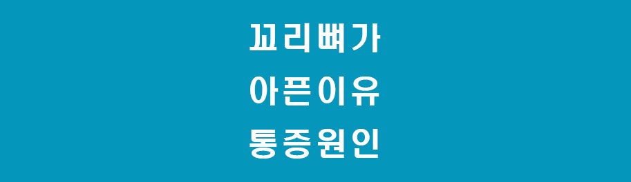 꼬리뼈썸네일
