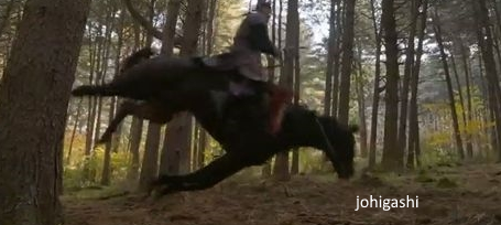 태종 이방원 낙마