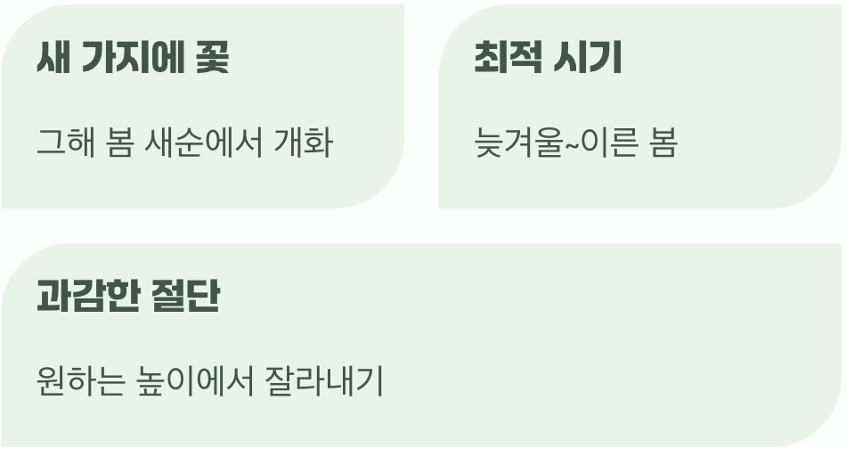 더 풍성한 꽃을 위한 약속, 가지치기