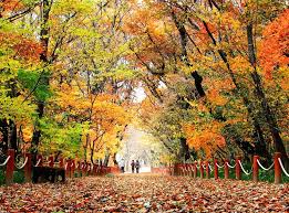 지역별 유명산 단풍 절정