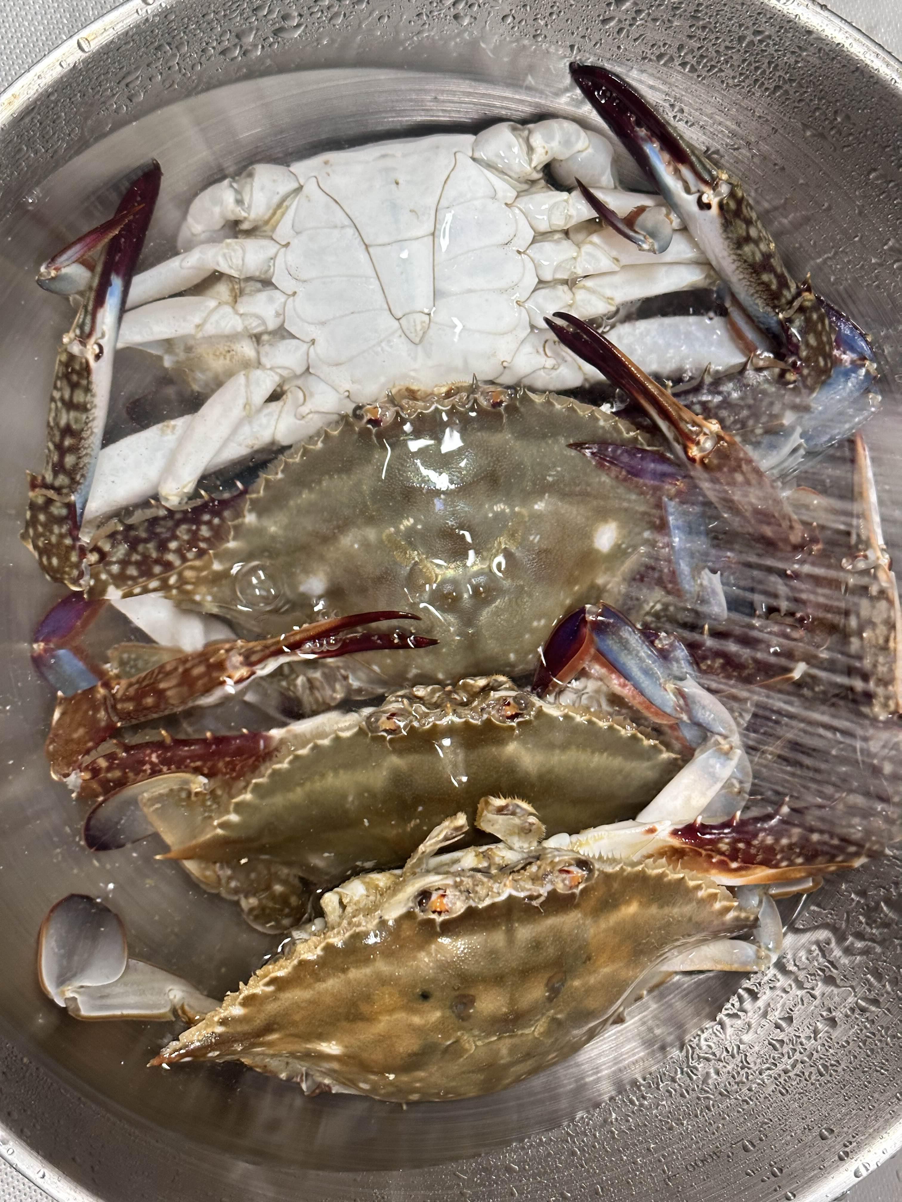 꽃게 손질법