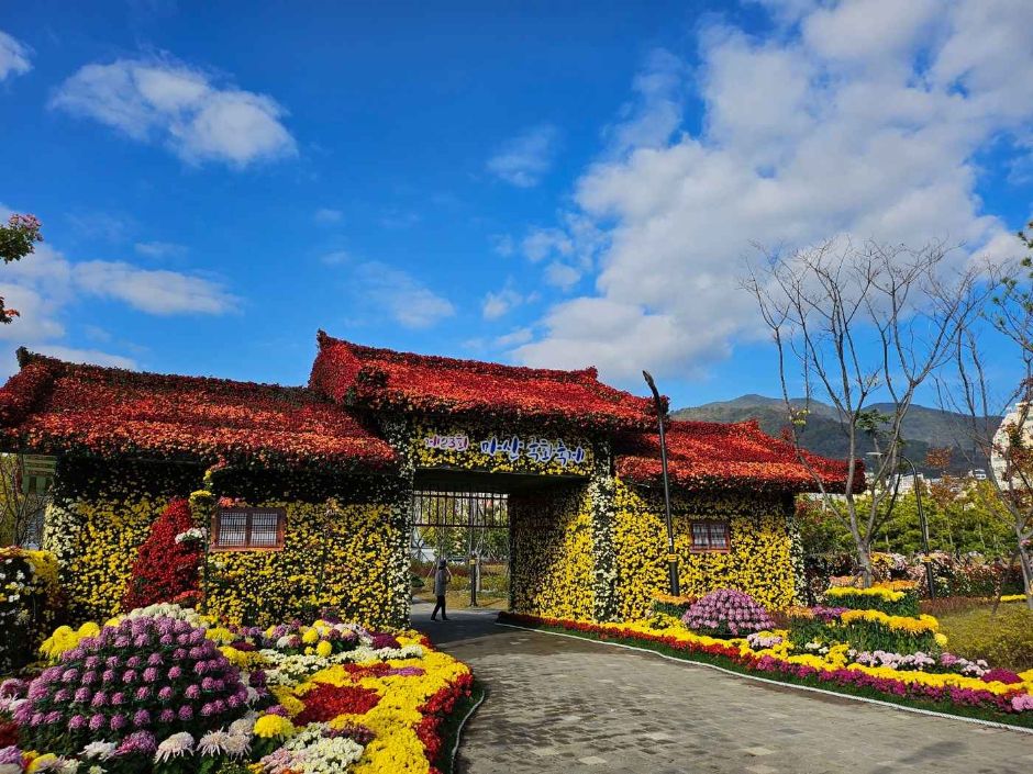 2024년-마산가고파국화축제