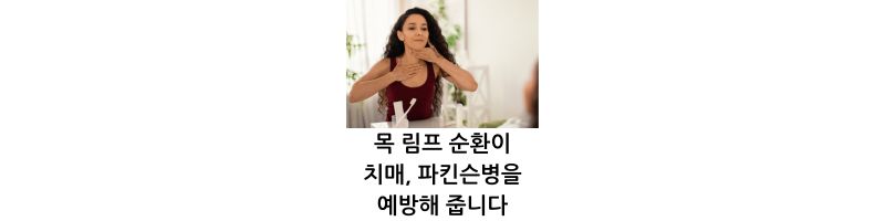 목 림프 순환이 치매, 파킨슨병을 예방해 줍니다