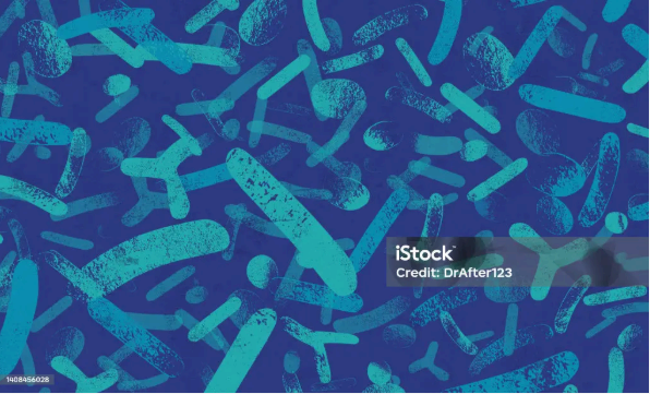 일반 결핵과의 차이 · AFB·배양·IGRA·TST·GeneXpert 등 검사 정리