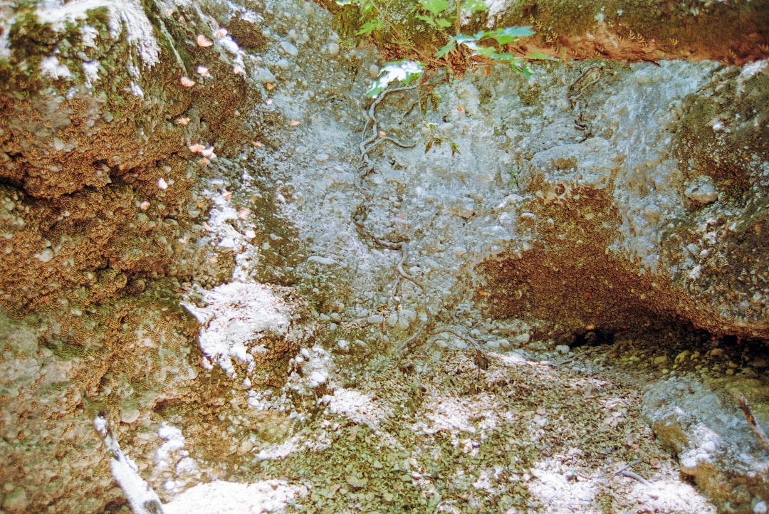 sinkhole
