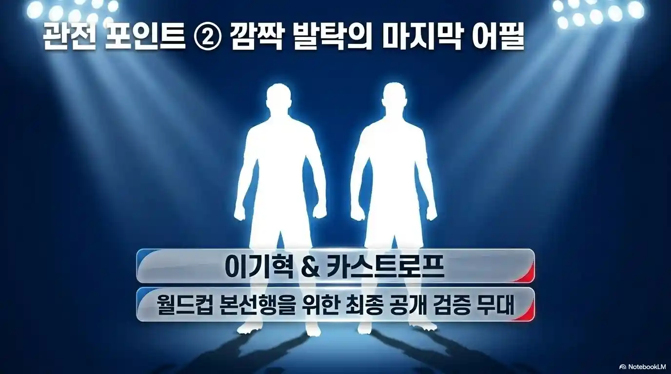 축구 국가대표 평가전 이기혁과 카스트로프의 어필