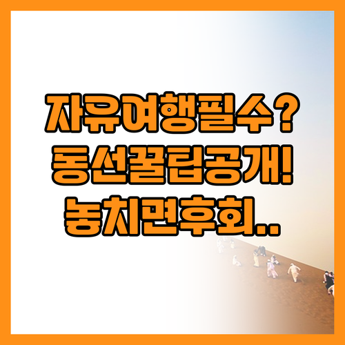후회 없는 자유여행을 위한 효율적 동..