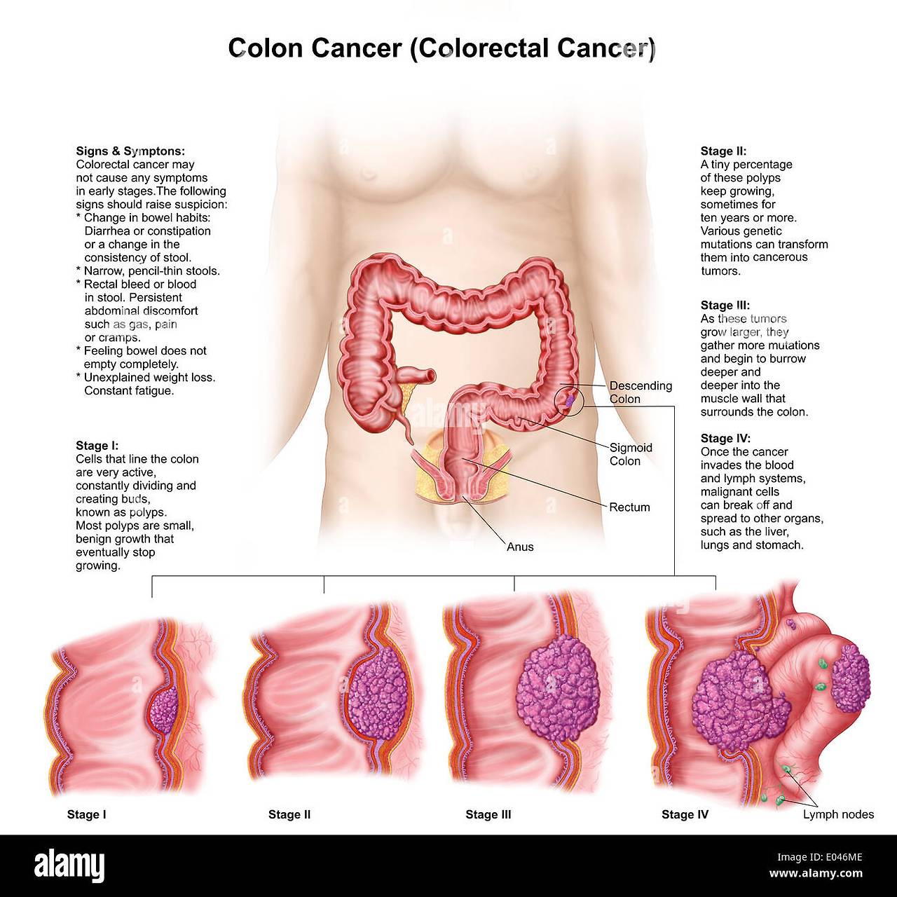 박규주 교수 논문