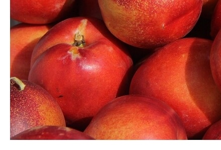 천도복숭아효능