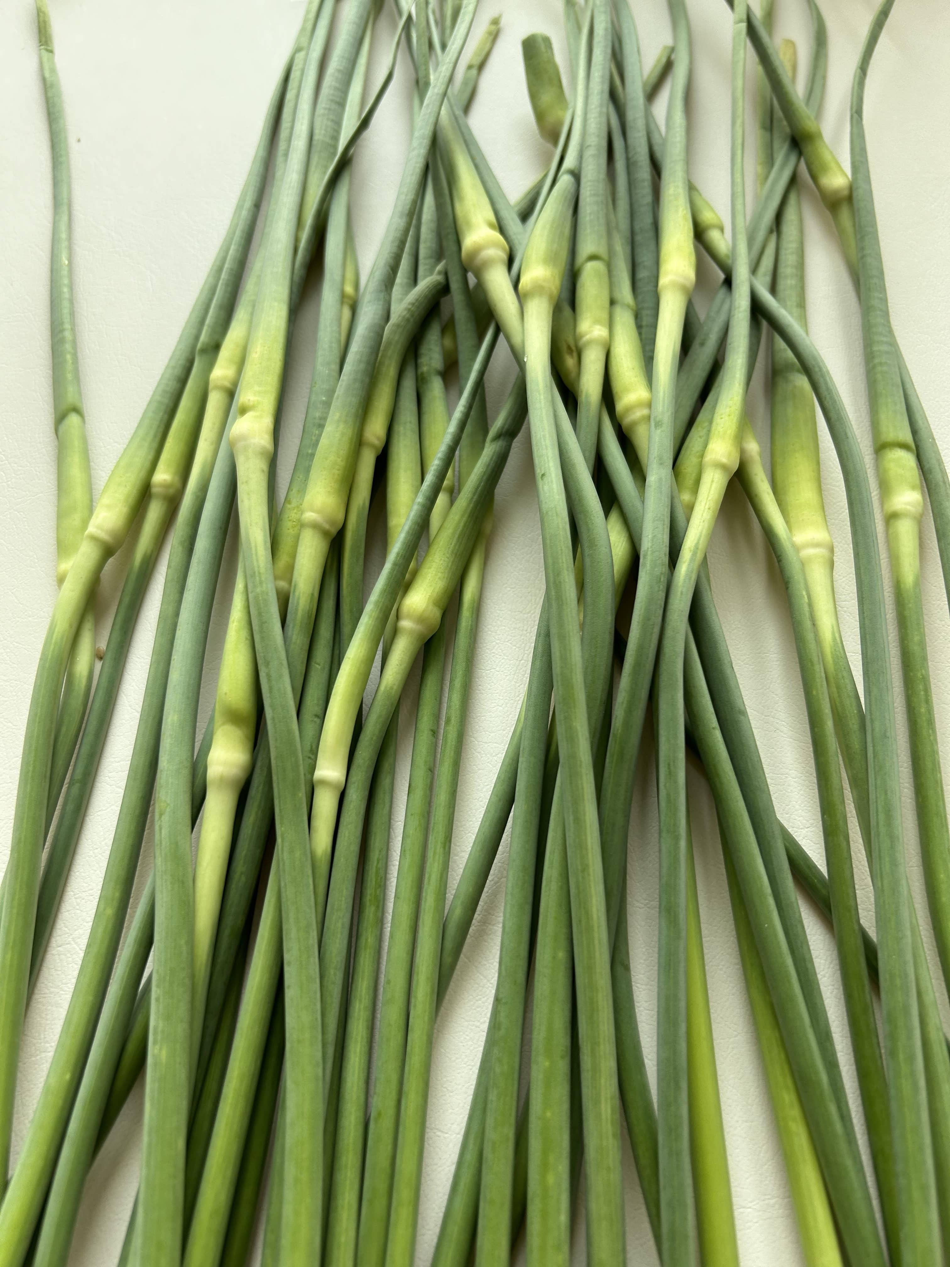 마늘쫑 효능&#44; 마늘쫑 먹는 법&#44; 마늘쫑 부작용